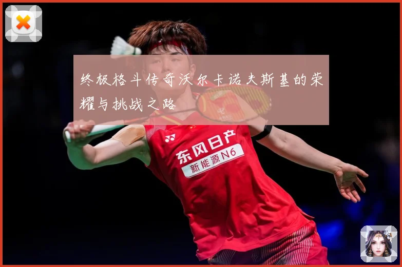 终极格斗传奇沃尔卡诺夫斯基的荣耀与挑战之路