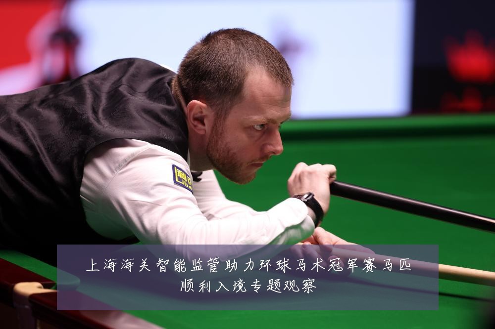 上海海关智能监管助力环球马术冠军赛马匹顺利入境专题观察